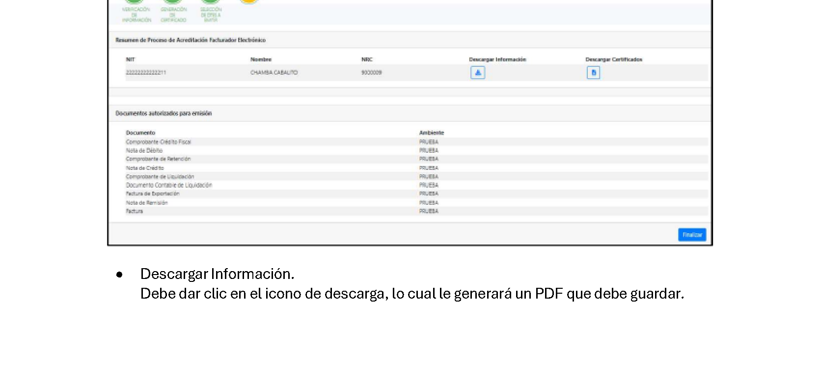 Pantalla de resumen — iconos para descargar informacion y certificados
