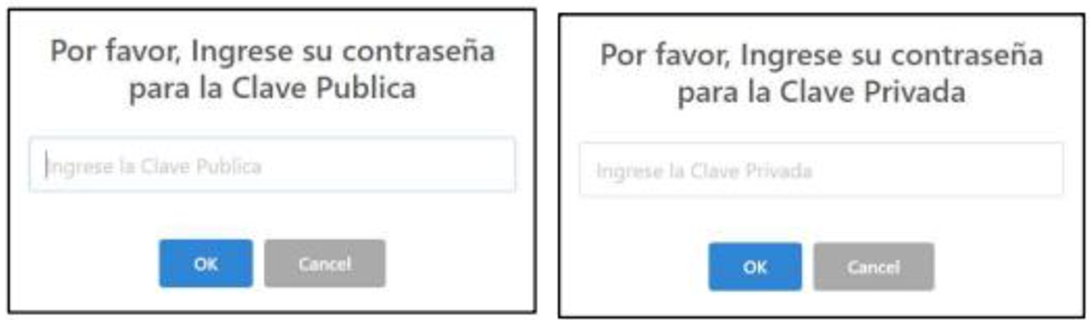 Dialogos para ingresar la Clave Publica y Clave Privada al descargar certificados